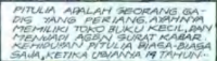 Pitulia dengan bayangan-bayangan Aneh-ebook